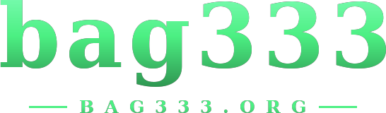bag333 logo